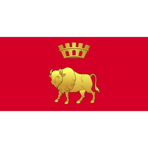 Flag Of Hrodna Region Clipart