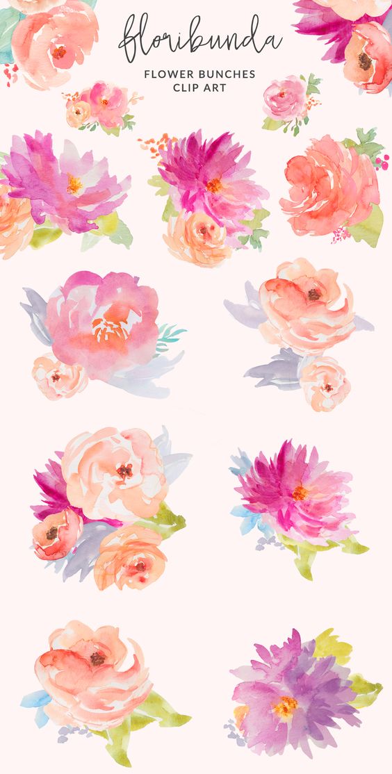 Floribunda Watercolor Floral Flower Illustrations Png Image Clipart