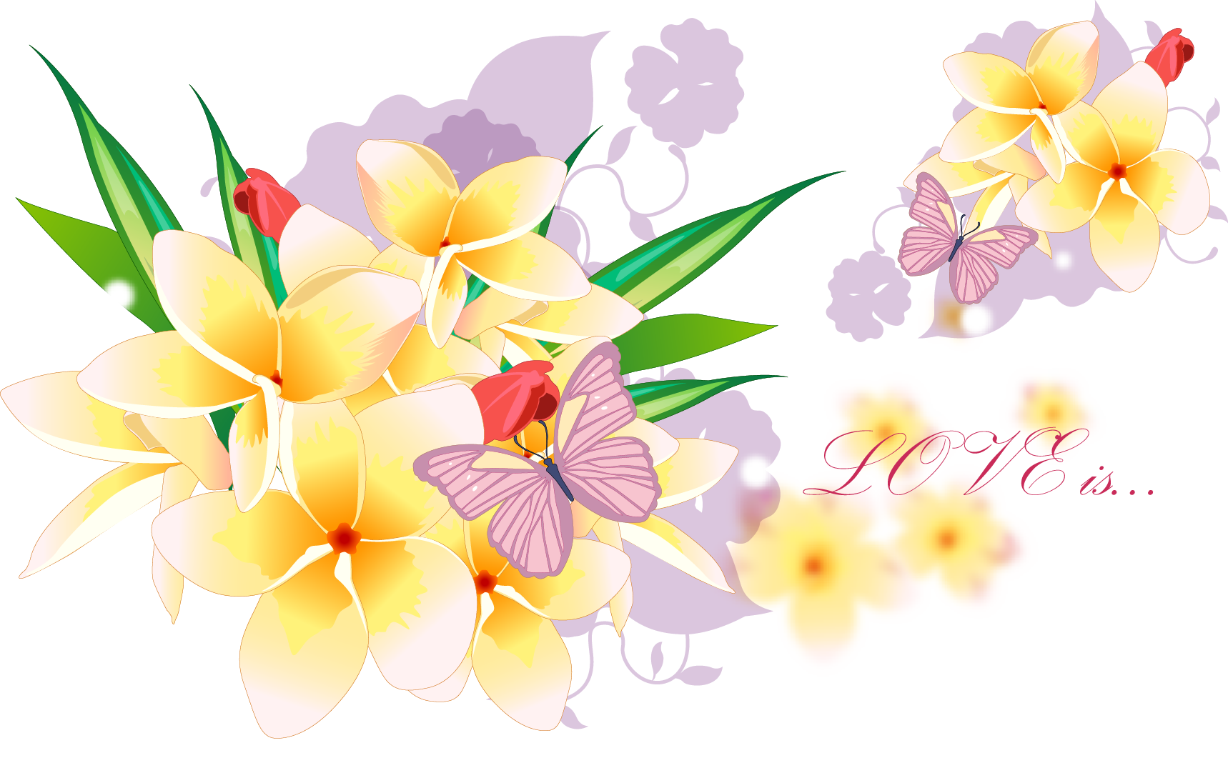 Acctractive Flower Bouquet Petal Wallpaper Desktop Design Clipart