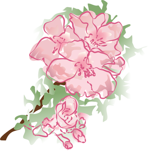 Decoration Flower Clipart
