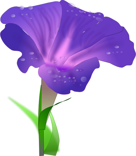 Of Orchis Clipart