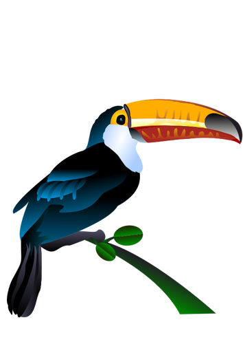 Toucan Image Clipart