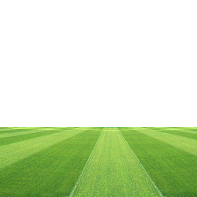 Grassland Field Football Stadium Pitch Free Download PNG HD Clipart