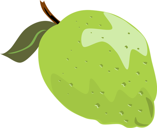 Lime With Leaf Clipart