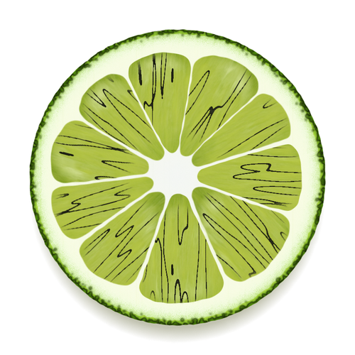 Lime Slice Clipart