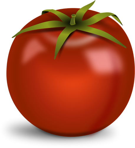 Glossy Tomato Clipart