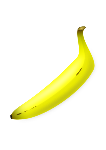 Of Straight Shaped Banana Clipart