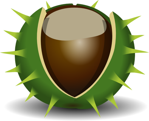 Chestnut In Shell Clipart