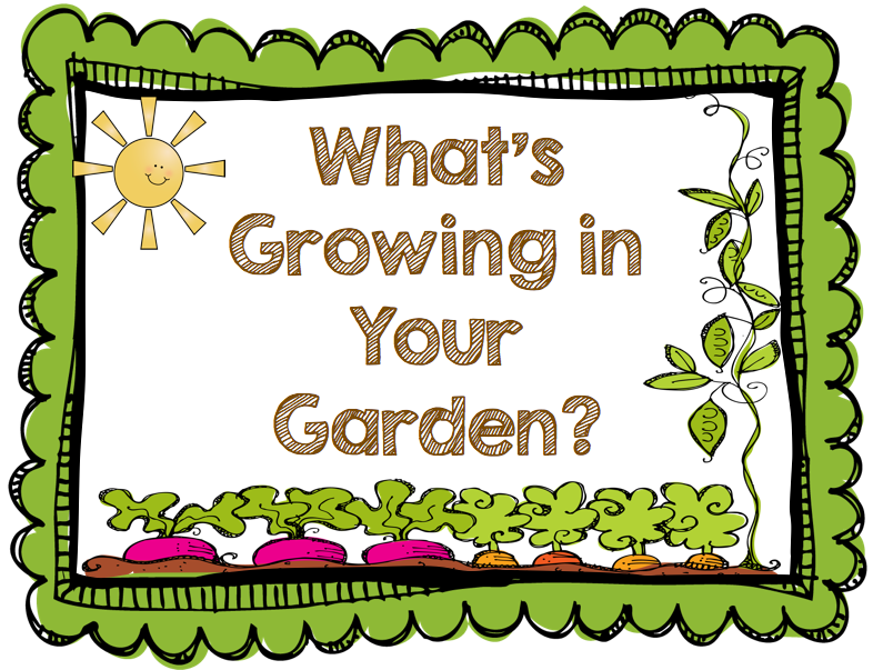 Kids Vegetable Garden Inspiration Garden Ideas Clipart