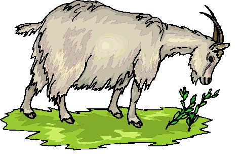 Goat For You Free Download Clipart