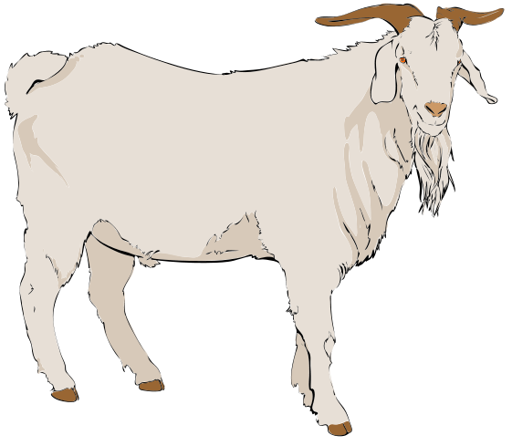File Goat Svg Wikimediamons Png Images Clipart