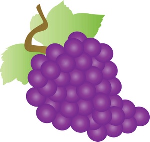 Purple Grapes Hd Image Clipart