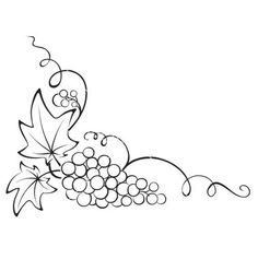 Grapes Graphic On Grape Vines Coloring Pages Clipart