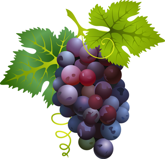 Grapes Transparent Image Clipart