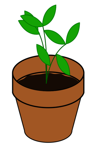 Of Simple Plant In A Terracotta Pot Clipart