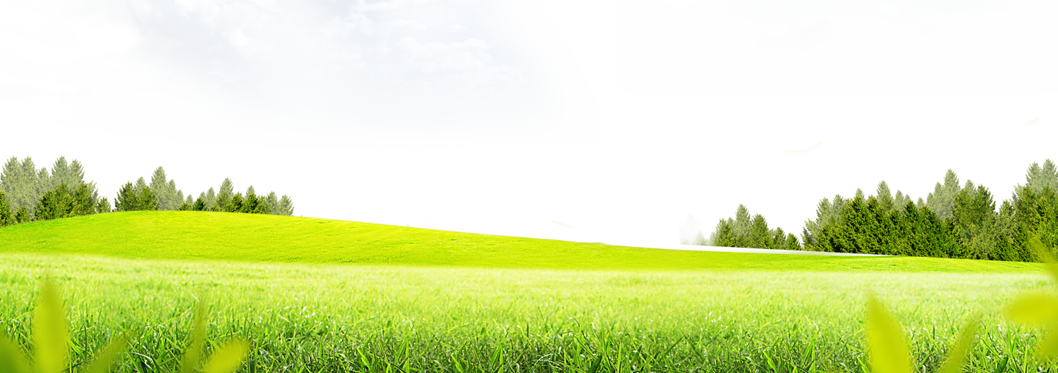Lawn Grass Meadow Free Transparent Image HQ Clipart