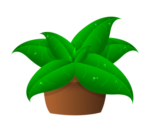 Of Large Green Leaves Plant In Pot Clipart
