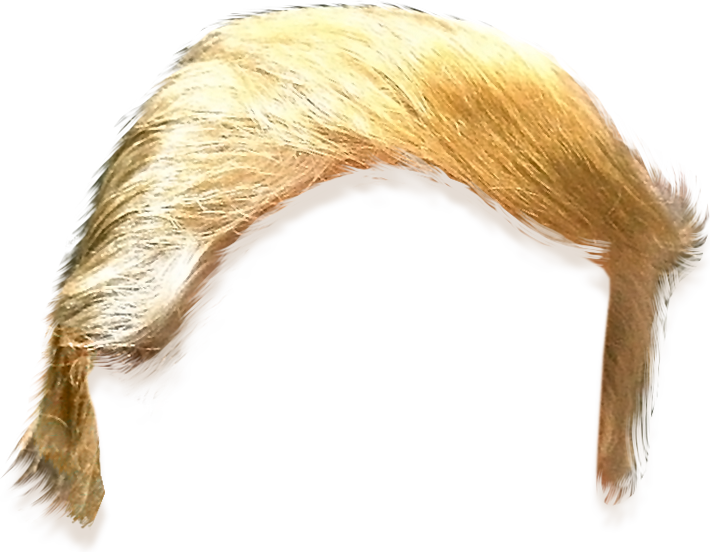 Hair Hairstyle United Trump States Template Clipart