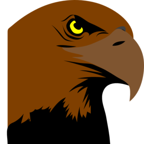 Marked Hawk Vector Image Image Png Clipart