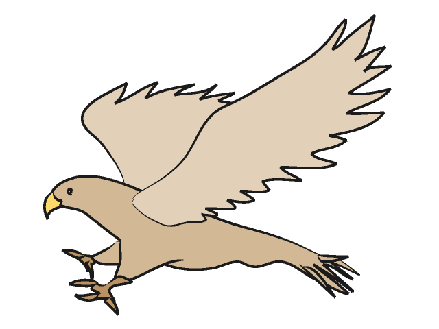 Hawk Mascot Images Image Png Clipart