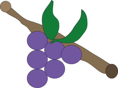Grapes On Branch Clipart