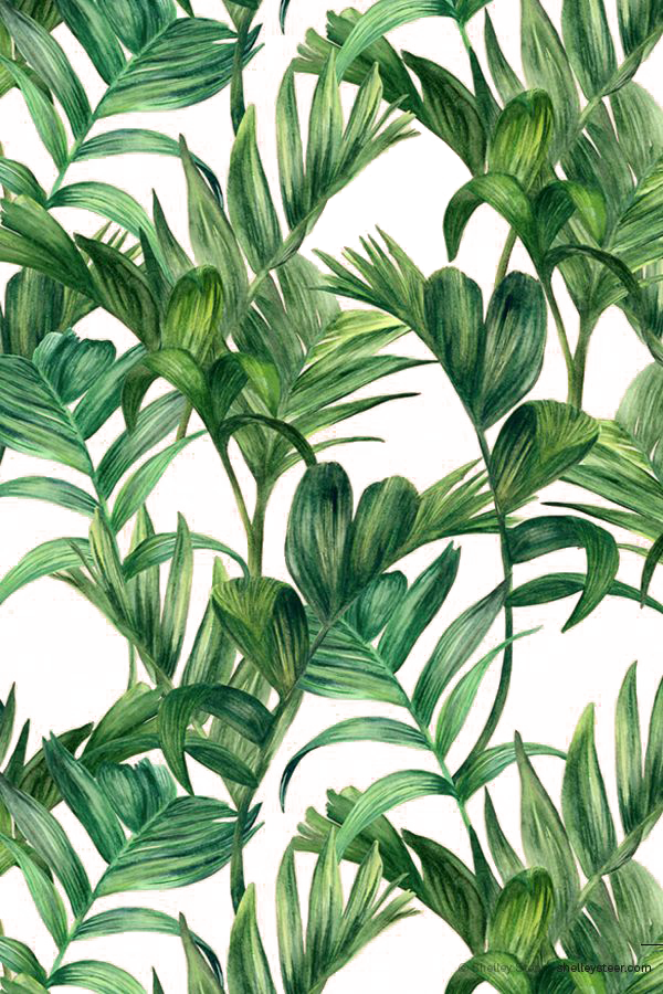 Leaf Electric Wallpaper Arches Palm Green Clipart