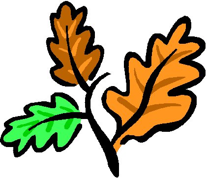 Leaves Fall Leaf Outline Images Png Image Clipart