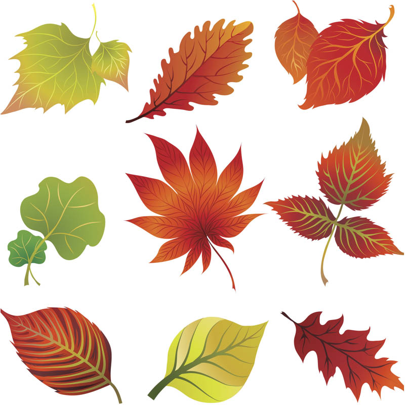 Leaves For You Image Png Clipart
