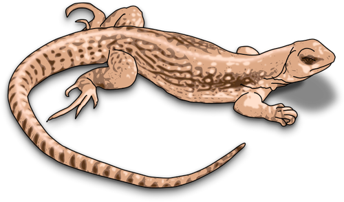 Illustration Of Brown Lizard With Shadows Clipart