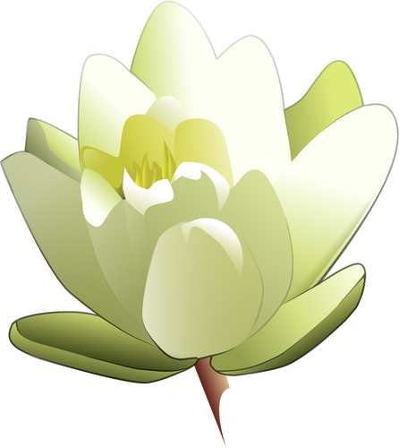 Water Lily Clipart
