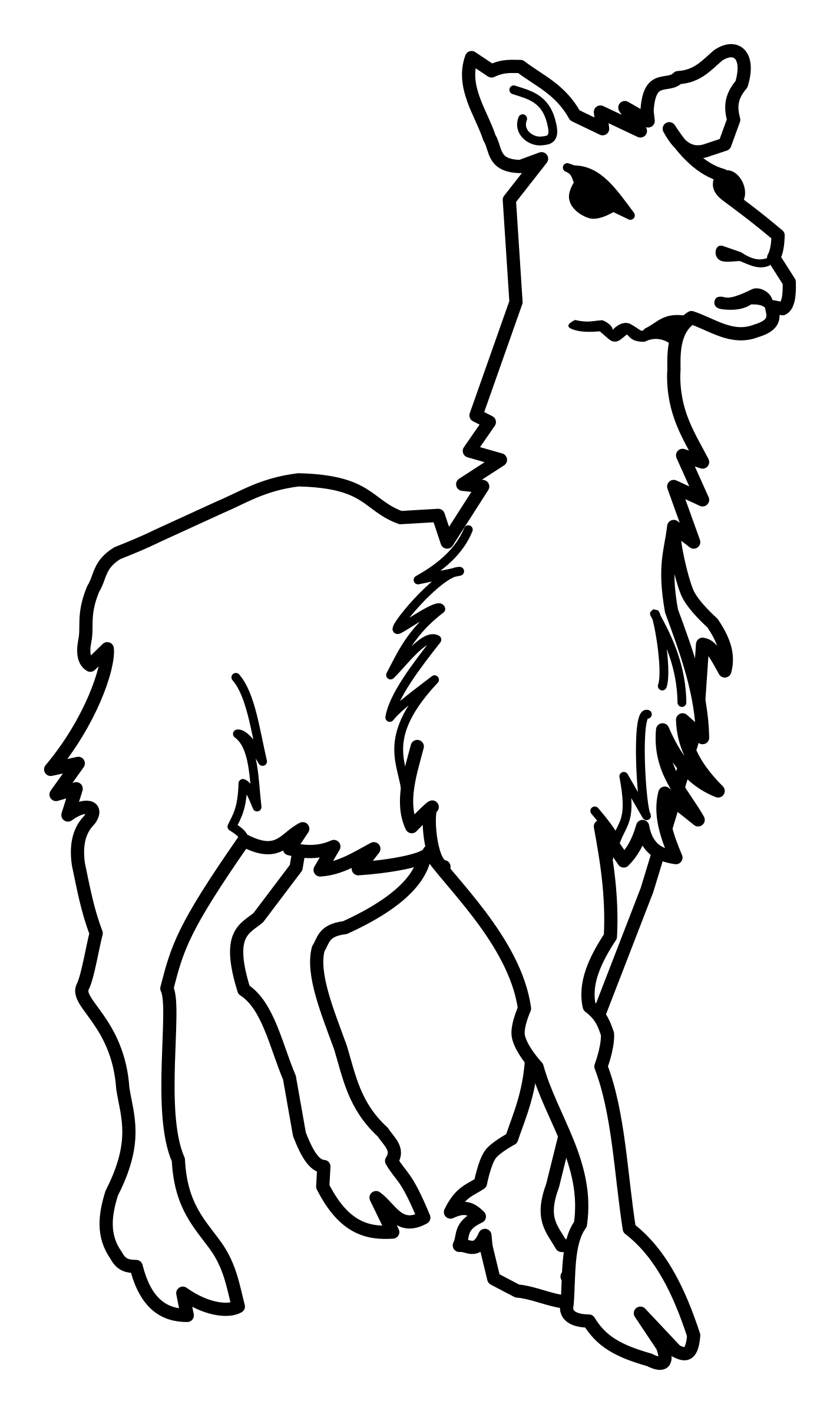 Clipart Llama Lineart Free Download Png Clipart