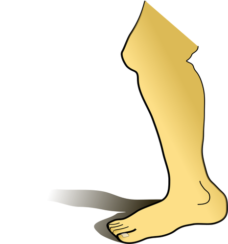 Human Leg Clipart