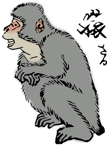 Japanese Macaque Clipart
