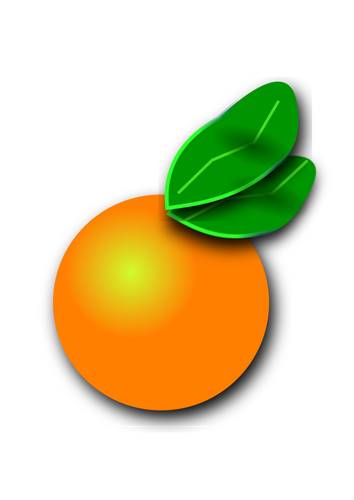 Orange Citrus Clipart