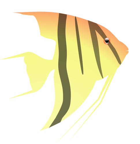 Angel Fish Clipart
