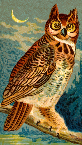 Horned Owl Clipart