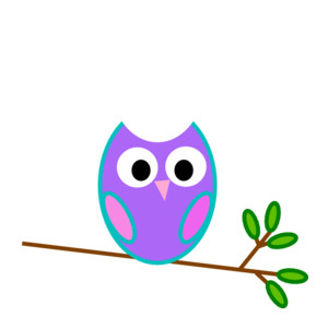 Free Owl Owl Transparent Image Clipart