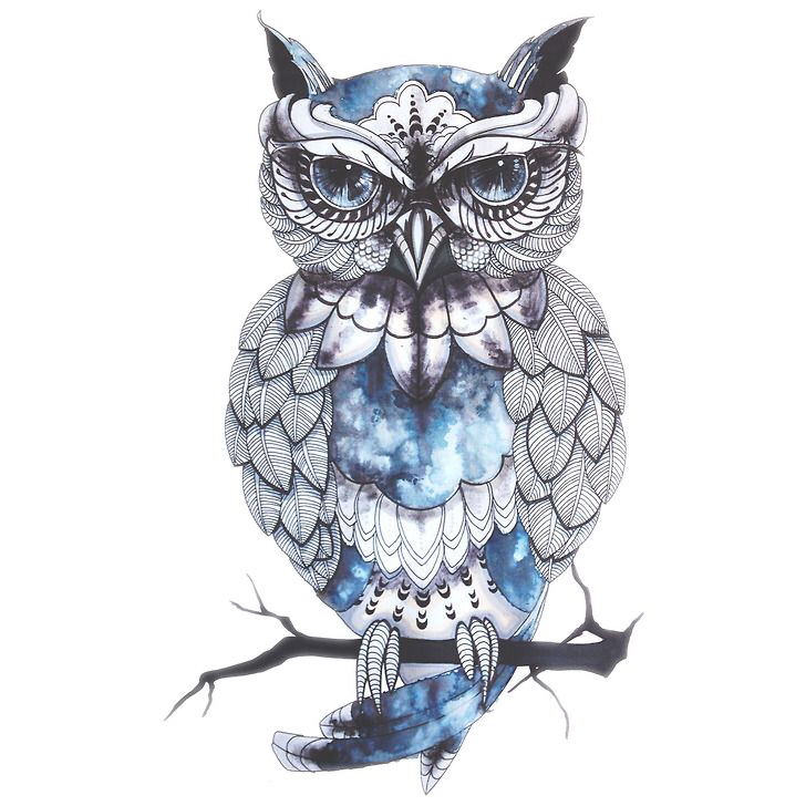 Owl Drawing Artist Bird Tattoo PNG Free Photo Clipart