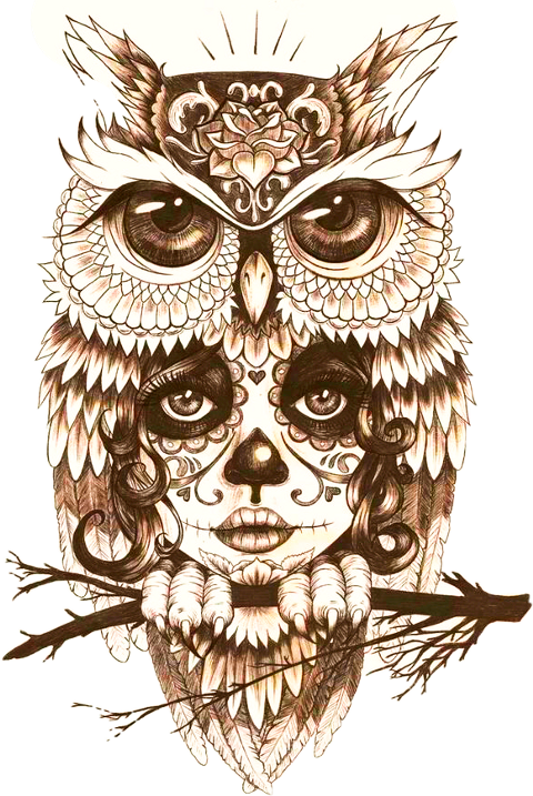 Body Owl Art Tattoo Mystic Drawing Clipart