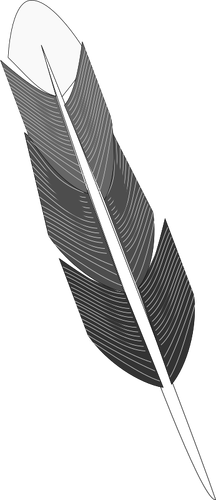 Drawing Of Grey Feather Clipart