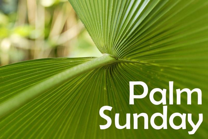Palm Sunday 6 Images Pictures Crafts Songs Clipart