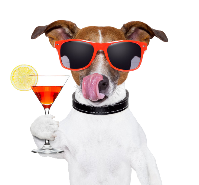 Sun Drink Dog Red Wine PNG Free Photo Clipart