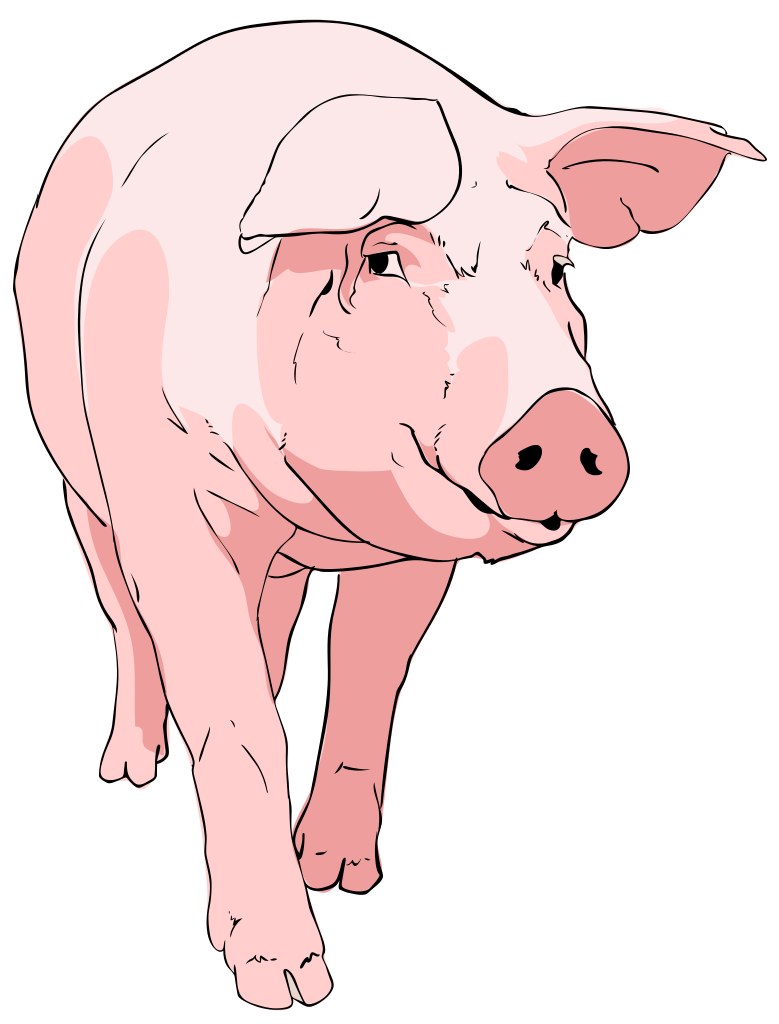 File Pig Svg Wikimediamons Free Download Clipart