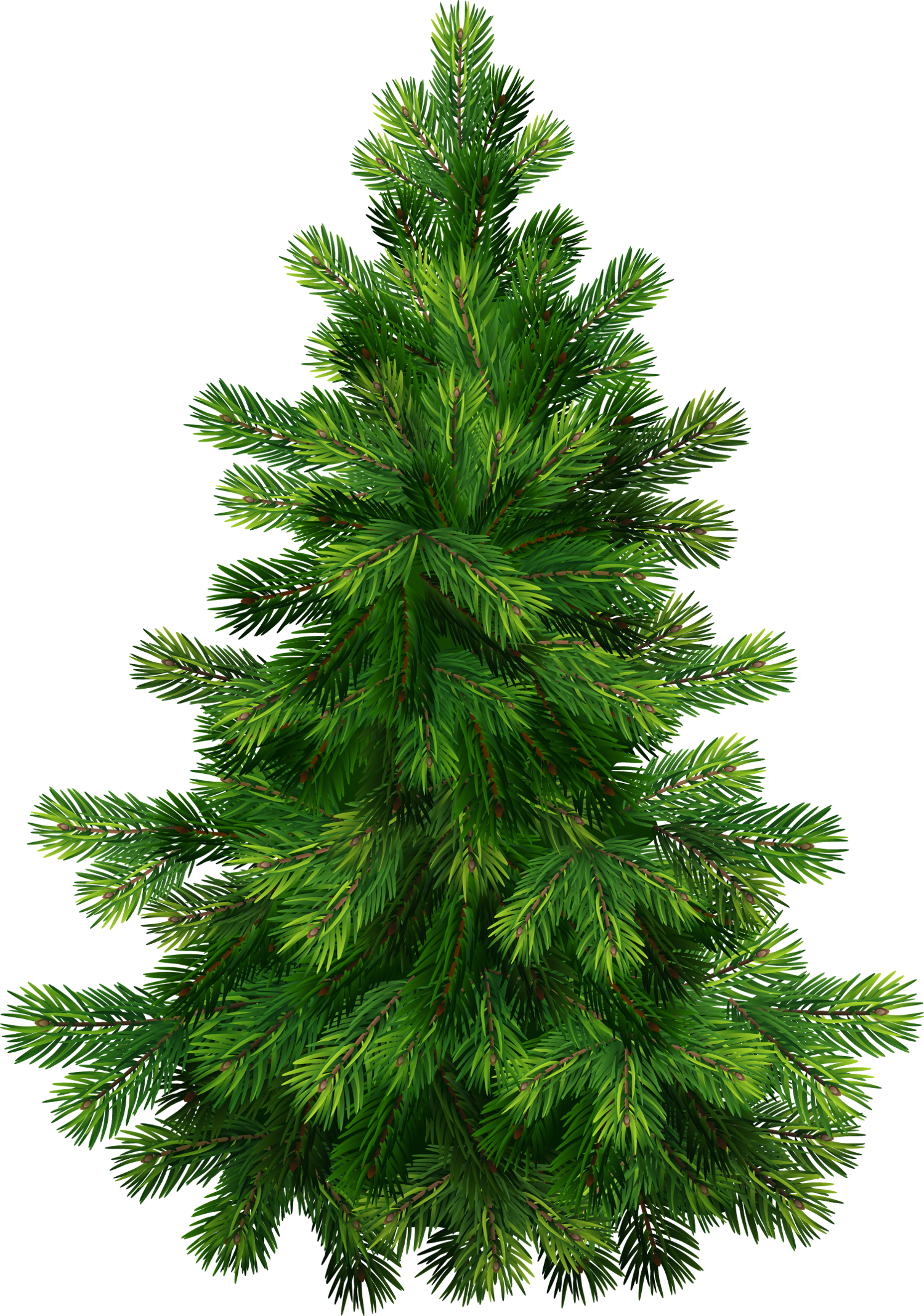 Pine Tree 3 Image Png Image Clipart