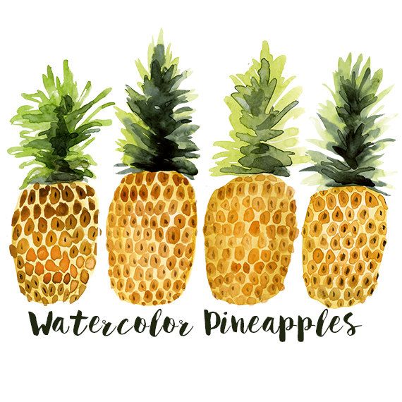 Watercolor Pineapples Set Commercial Use Pineapple Clipart