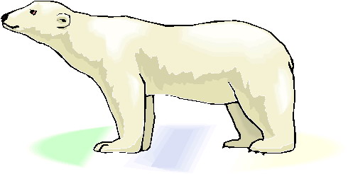 Art Polar Bear Kid Png Image Clipart