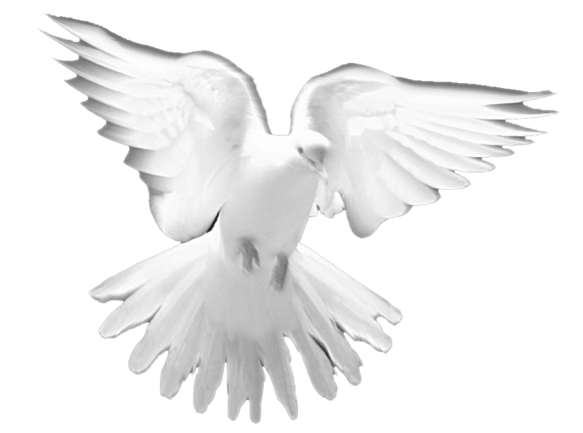 Christian Holy Prayer Church Spirit Doves Clipart