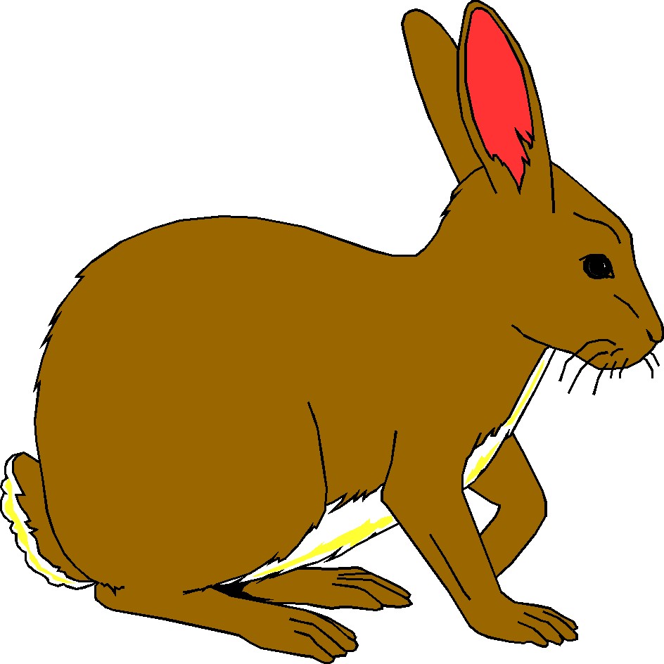 Rabbit For You Free Download Png Clipart