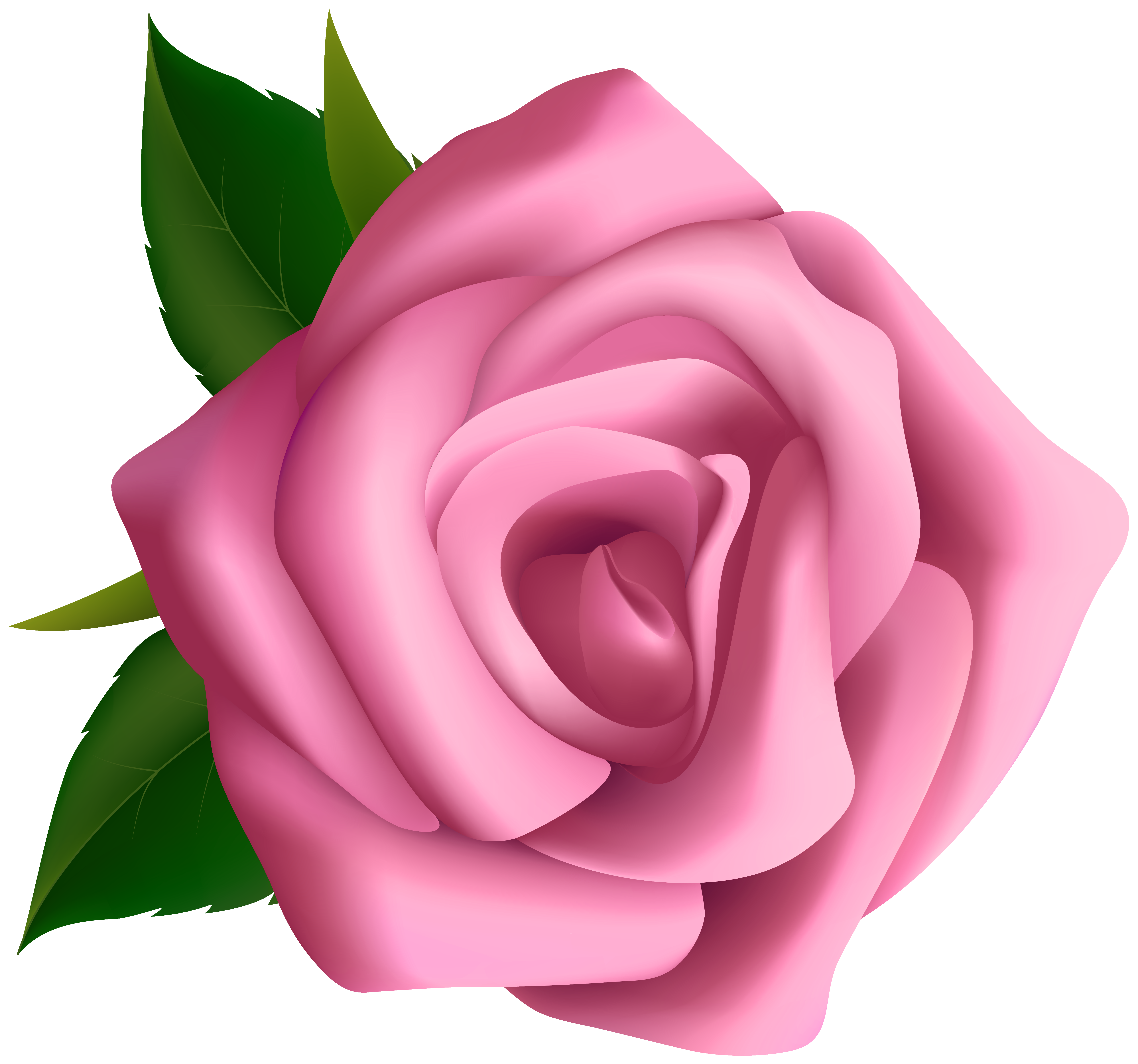 Large Pink Rose Blumen Pink Roses Clip Clipart