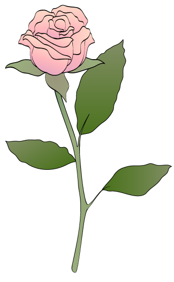 Roses The Pics Images Pink Rose Clipart